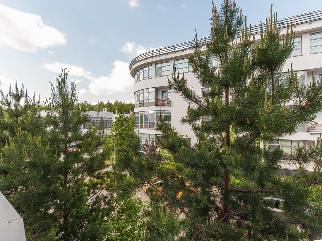 15 минут до центра города